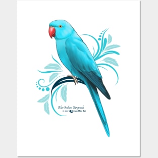 Blue Indian Ringneck Parrot Posters and Art